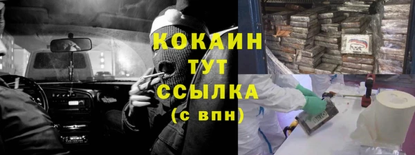 прущие грибы Костерёво