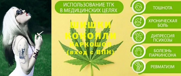 сатива Козельск