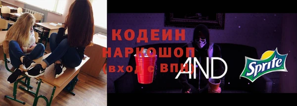 сатива Козельск