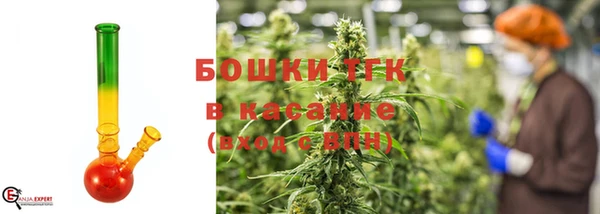 PSILOCYBIN Кодинск