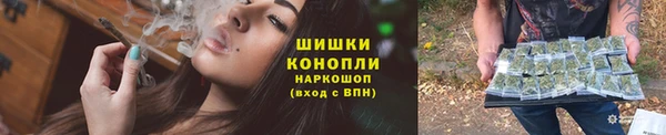 PSILOCYBIN Кодинск
