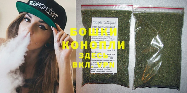 PSILOCYBIN Кодинск