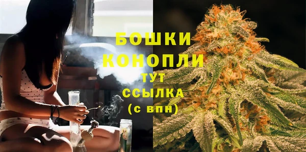 сатива Козельск