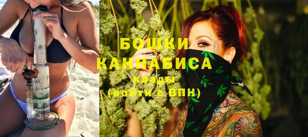 сатива Козельск