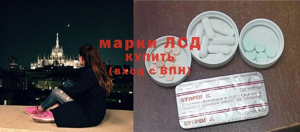 сатива Козельск