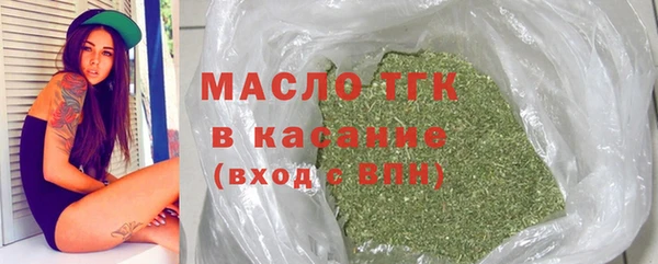 сатива Козельск