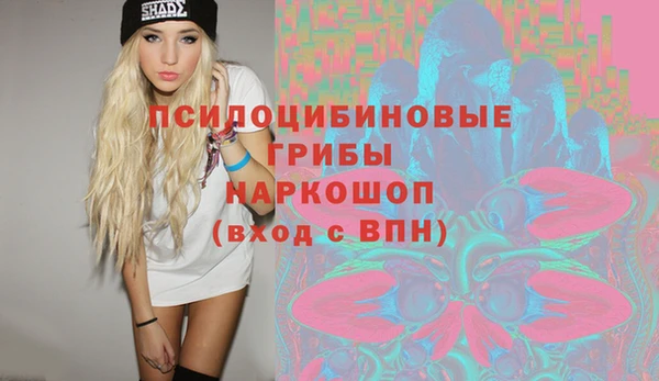 PSILOCYBIN Кодинск